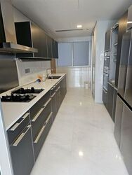 St. Regis Residences (D10), Apartment #559095931
